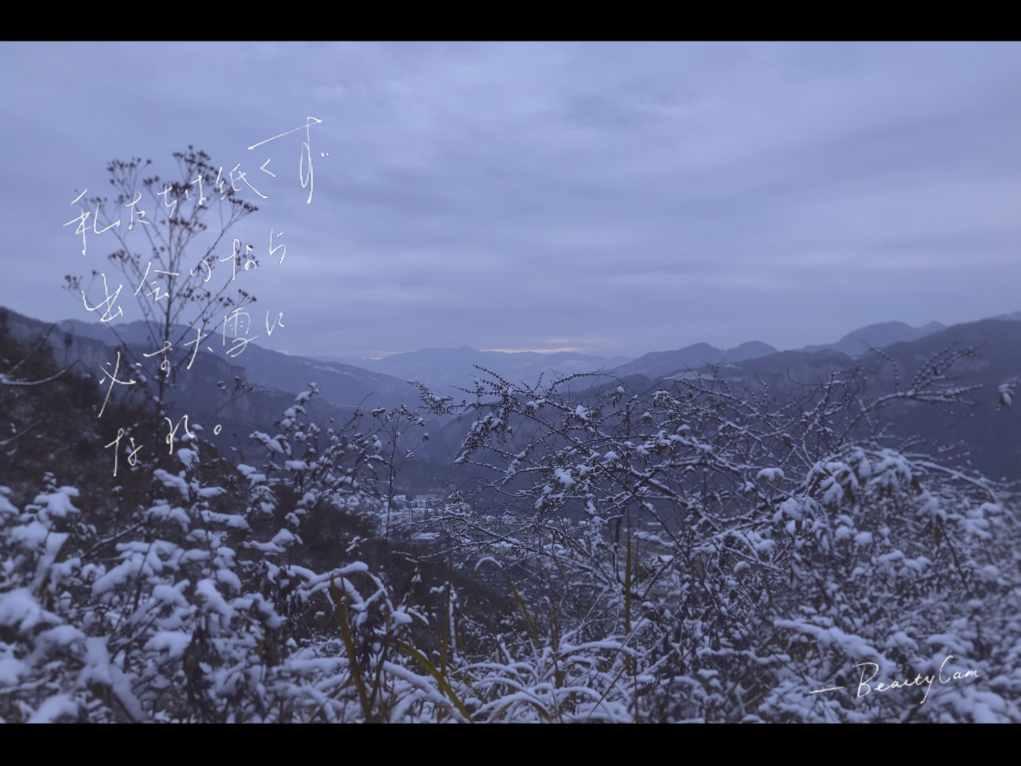 身为一代权臣,和珅那么聪明,为何没早点投靠嘉庆呢?