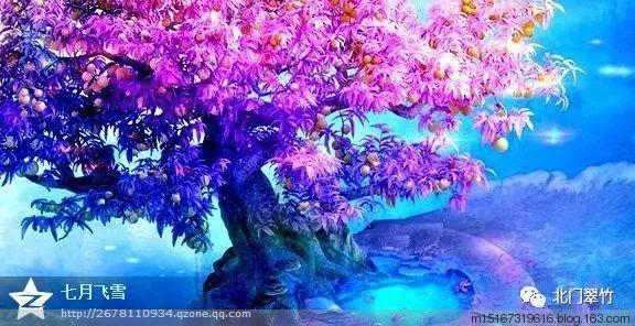 广东队成了杜氏家族企业,杜锋又被推上舆论漩涡,西热力江送助攻